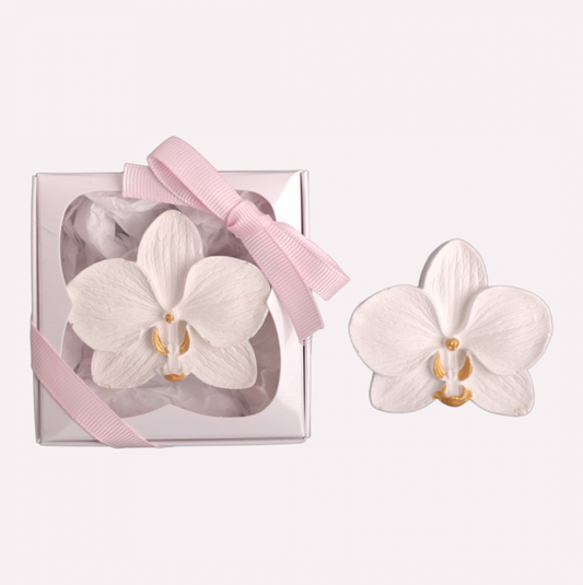 Orchid Scented stones